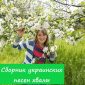 Сборник украинских песен хвалы - Виктория Барладян